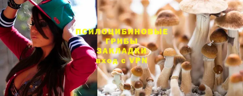 Псилоцибиновые грибы Magic Shrooms  Терек 